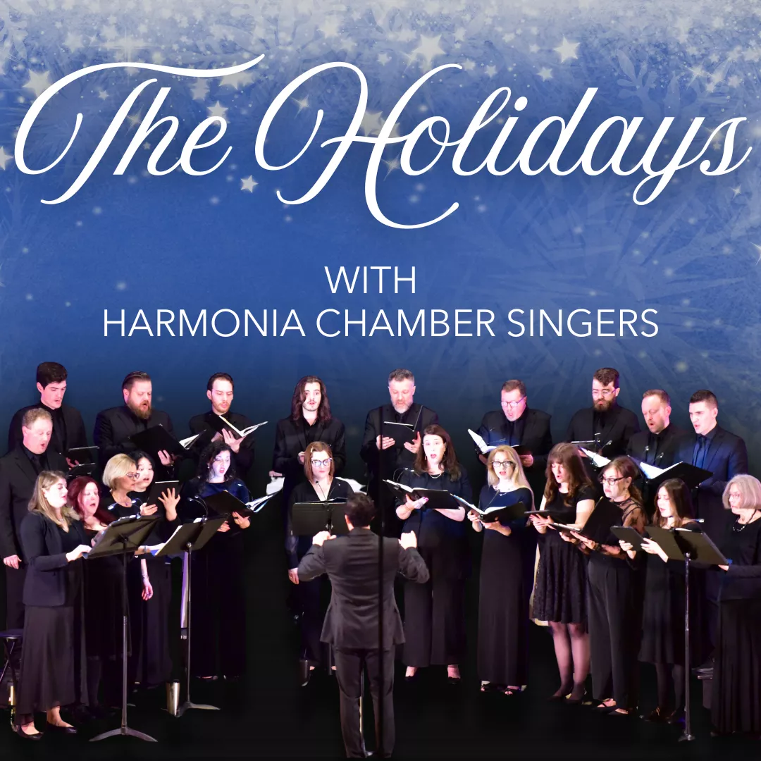 The Holidays image