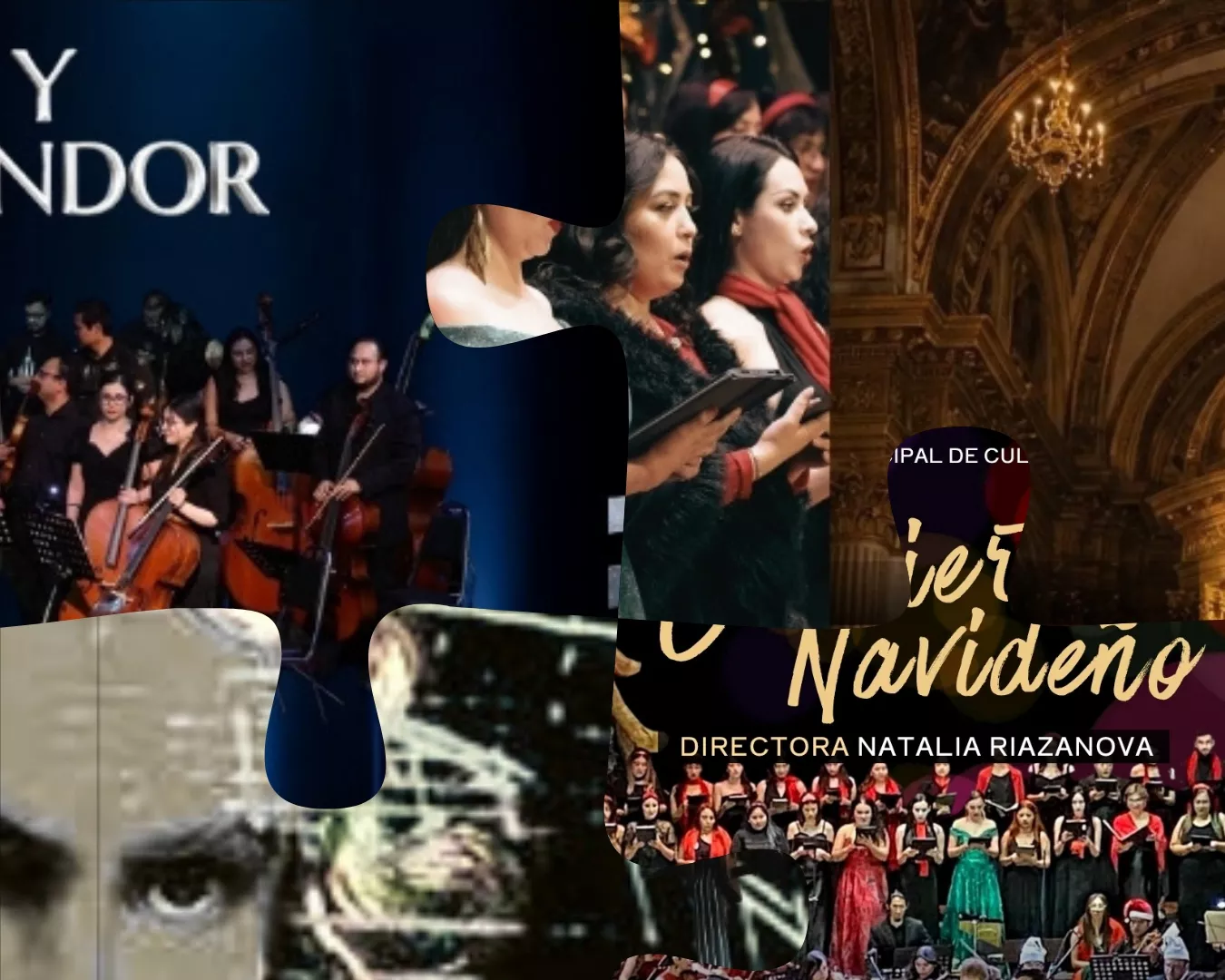 ABONO OTOÑO-INVIERNO ORQUESTA METROPOLITANA DE SALTILLO