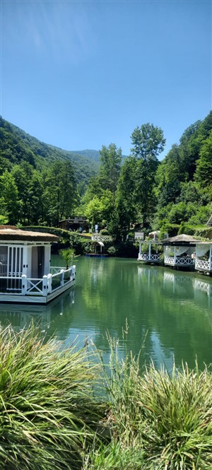 مسؤول مشتريات