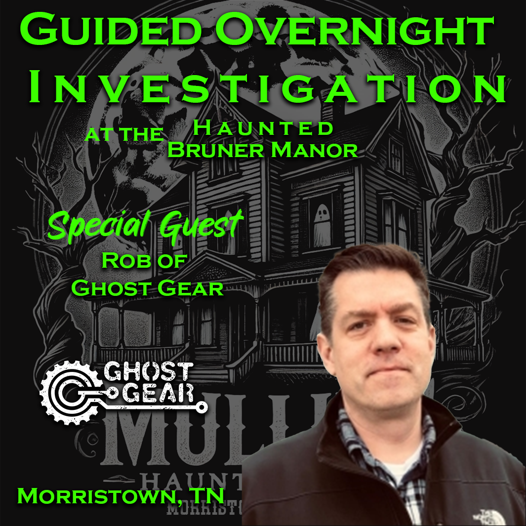 Guided Investigation image