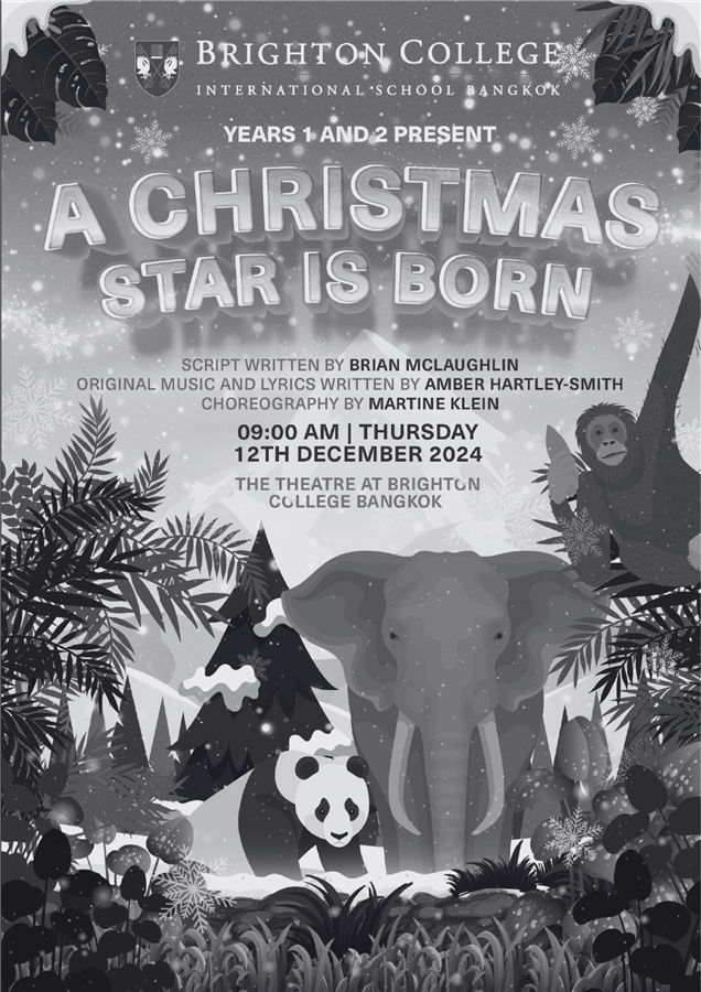 A Christmas Star is Born