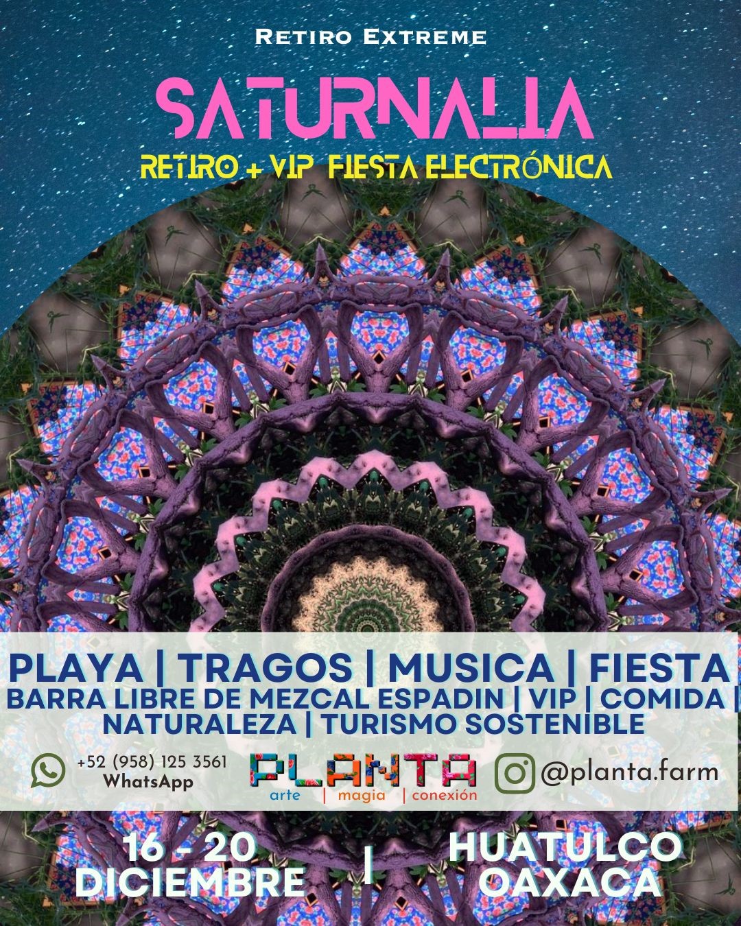 Get information, pick a seat & buy tickets to Retiro Saturnalia VIP  on Dec 16, 15:00 @PLANTA | Planta