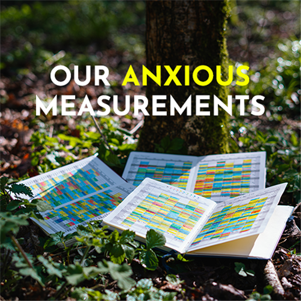 Our Anxious Measurements image