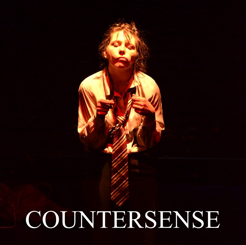 COUNTERSENSE