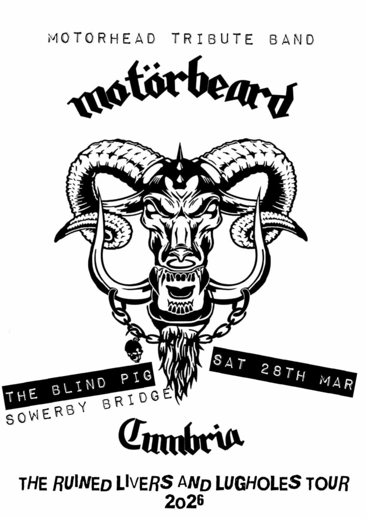 MOTORBEARD image