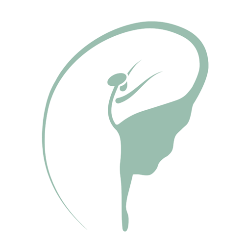 Silver Spring Dance image