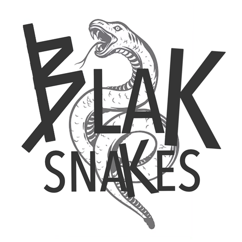 Blak Snakes Partys image