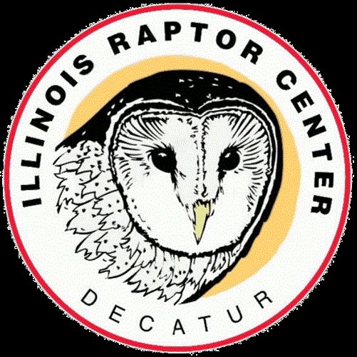 Illinois Raptor Center image