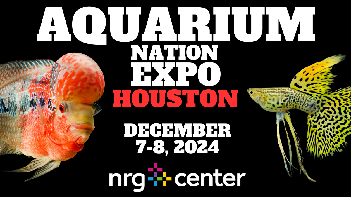 AQUARIUM NATION EXPO -HOUSTON image