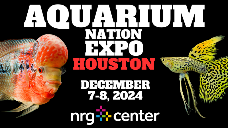 AQUARIUM NATION EXPO -HOUSTON