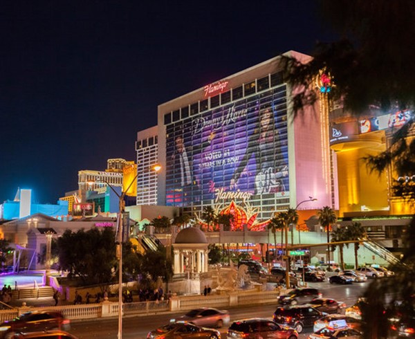 Las Vegas Package - December 22 to Dec 25, 2024