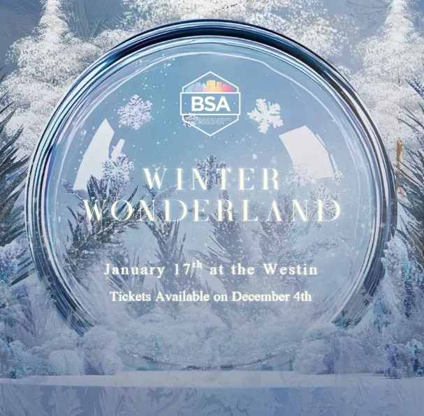 BSA 2026 Winter Gala image