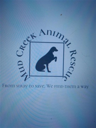 Mudcreek Animal Rescue image