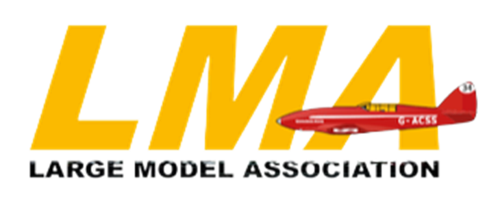 Large Model Association image