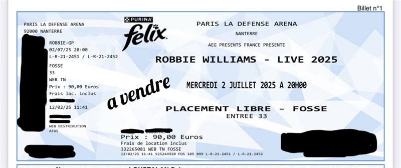 concert de Robbie Williams à Paris
