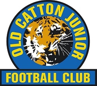 Old catton junior football clu image