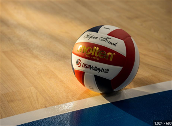 Boys Volleyball Game image