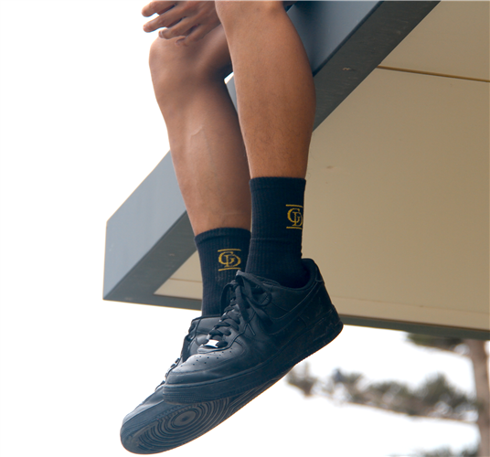 Golddubs store image