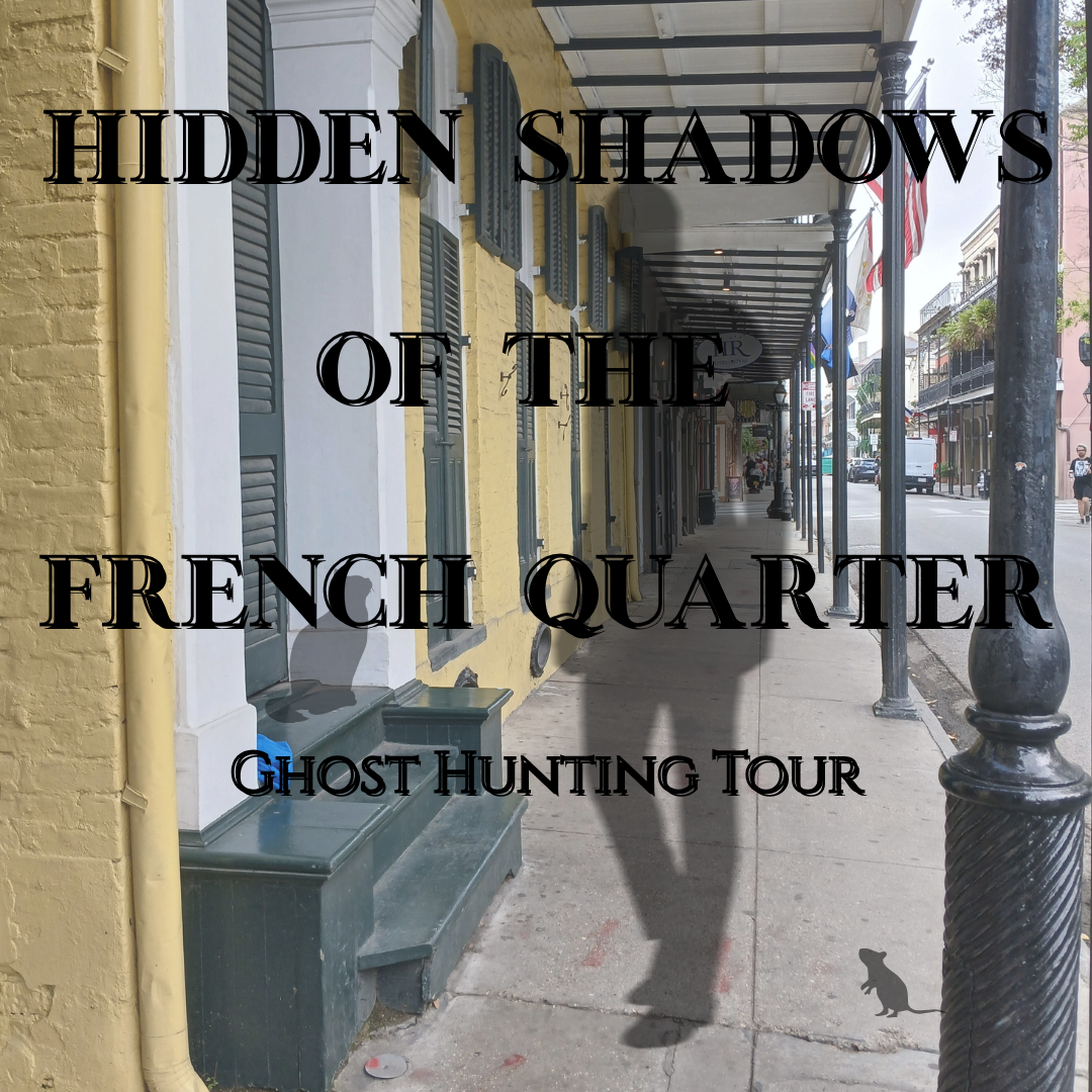 Hidden Shadows image