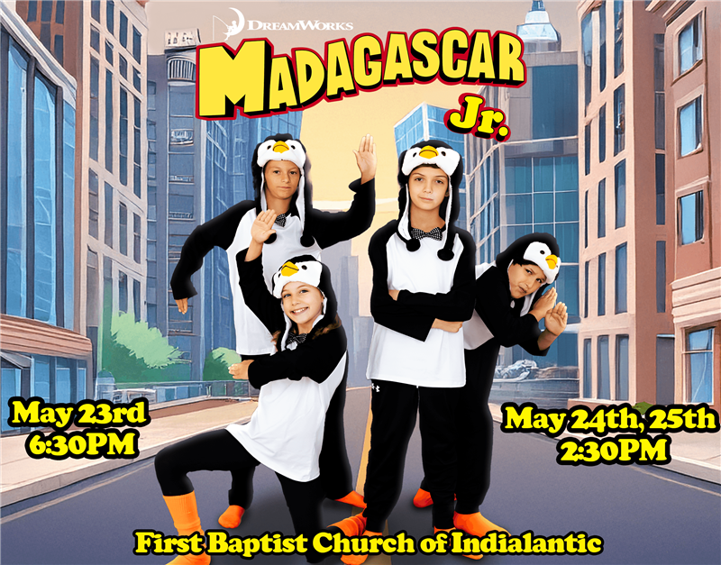 Madagascar Jr.