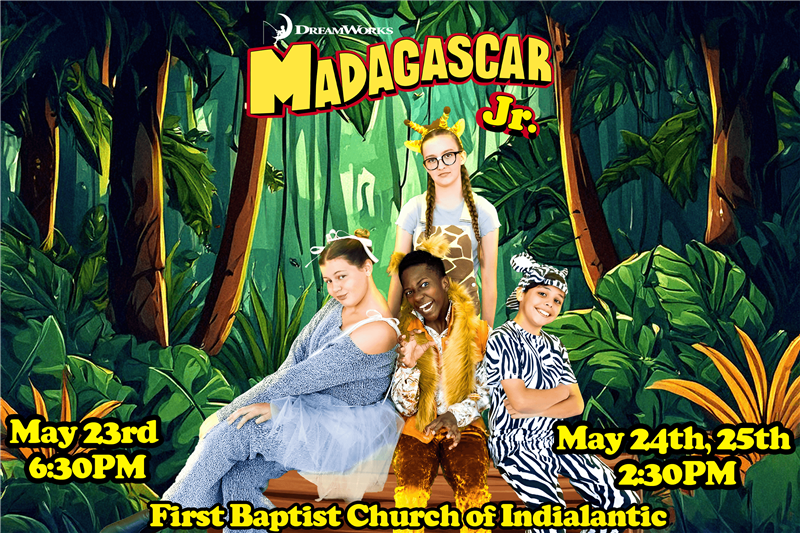 Madagascar Jr.