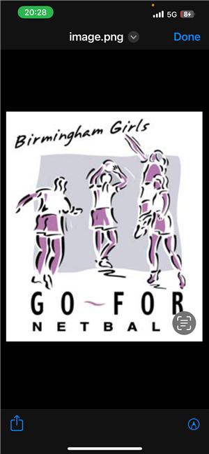 Birmingham Intermediate League image