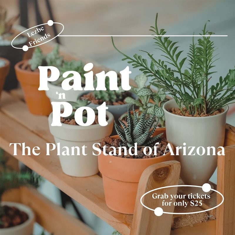 Paint 'n Pot