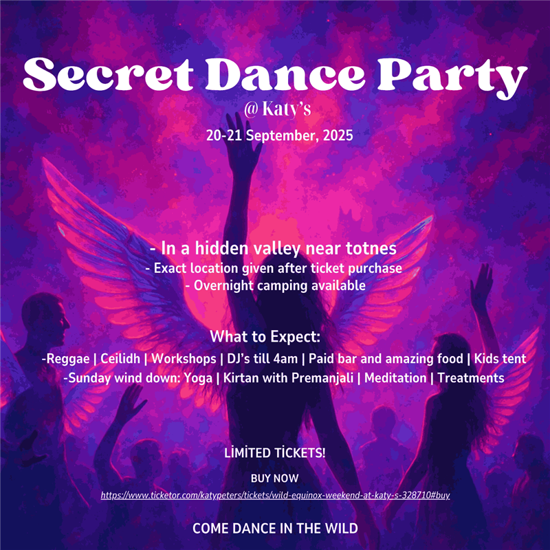 Secret Dance Party at Katy’s
