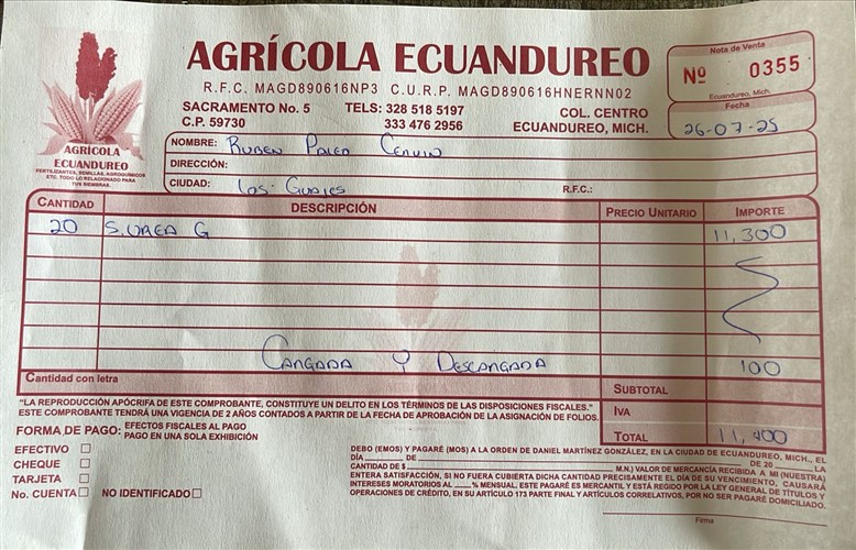 Sanchez proyeccion image