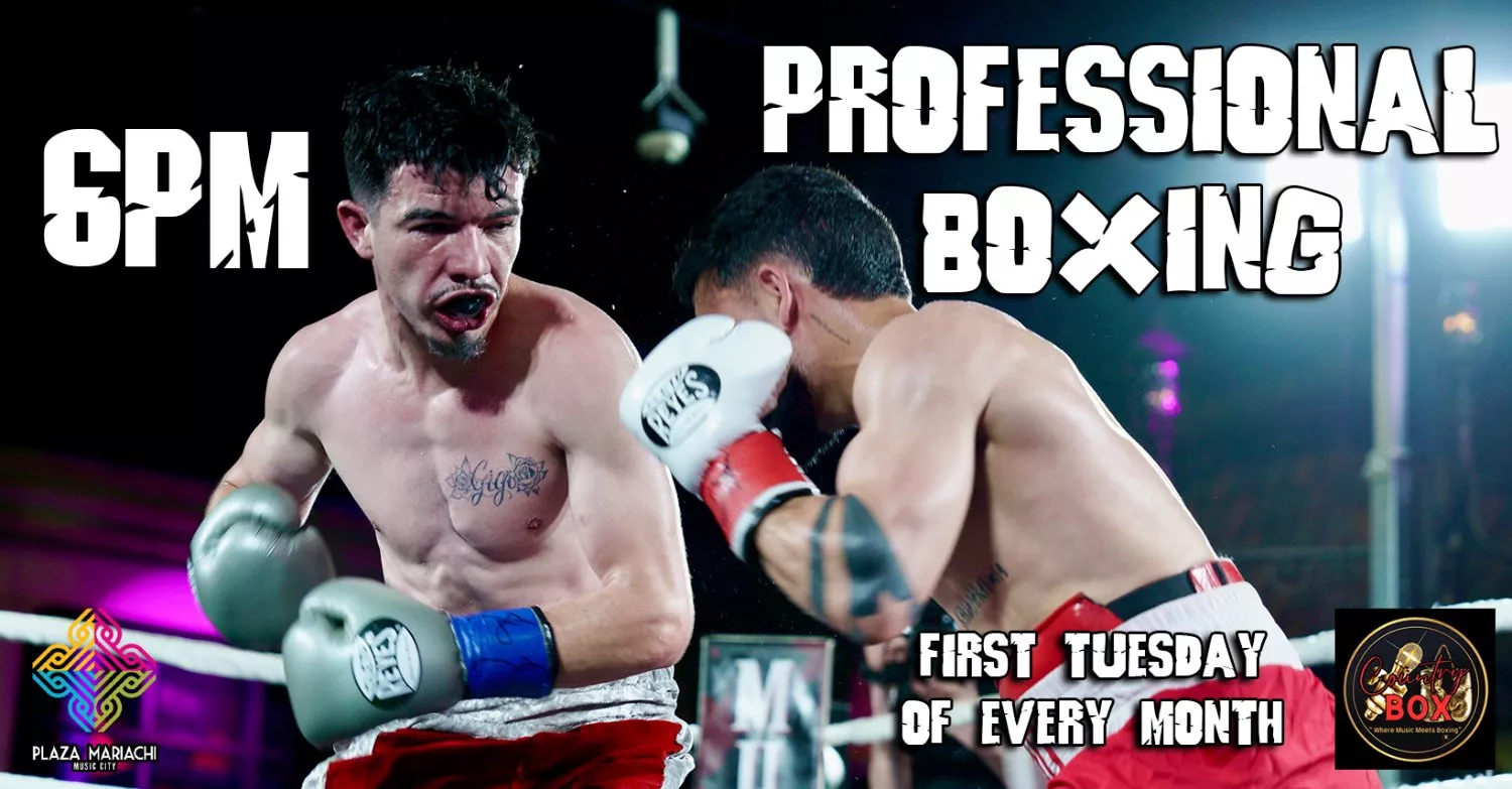 Professional Boxing
