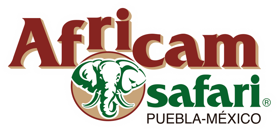 Africam Safari Test image