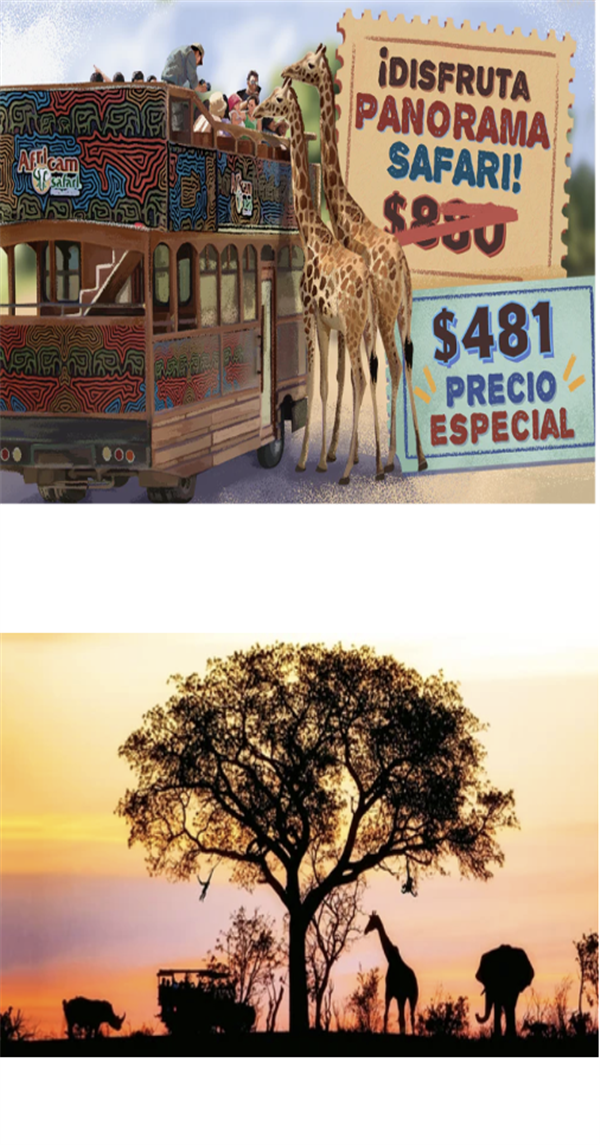 Panorama Safari