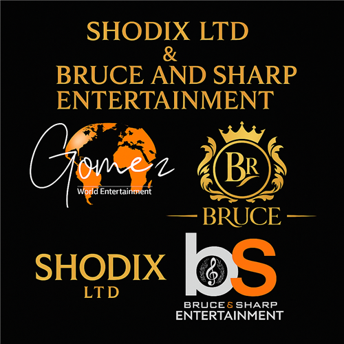SHODIX LIMITED image