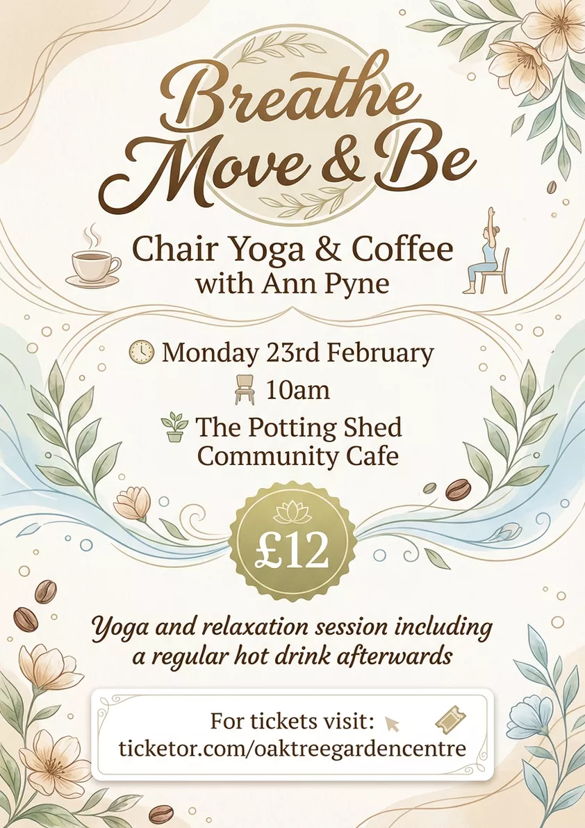 Chair Yoga with Ann Pyne image