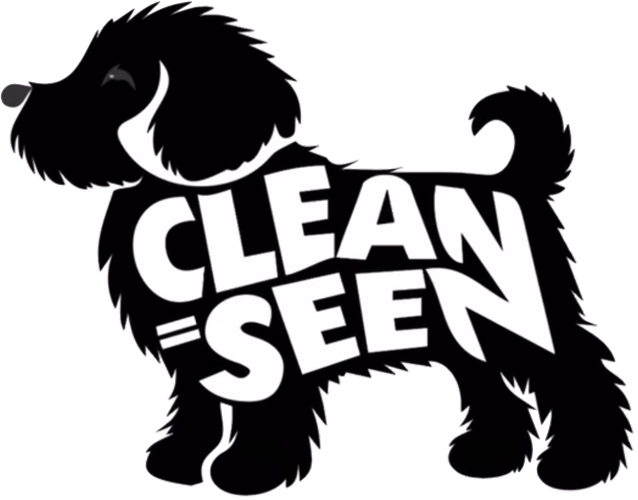 CLEAN EQUALS SEEN INITIATIVE image