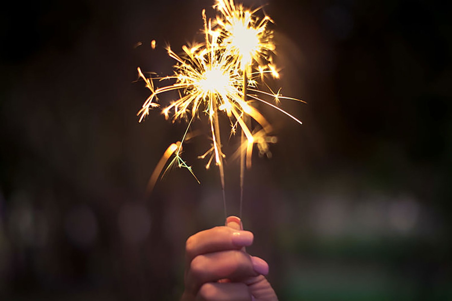 Firework Night image