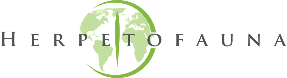 Herpetofauna foundation image