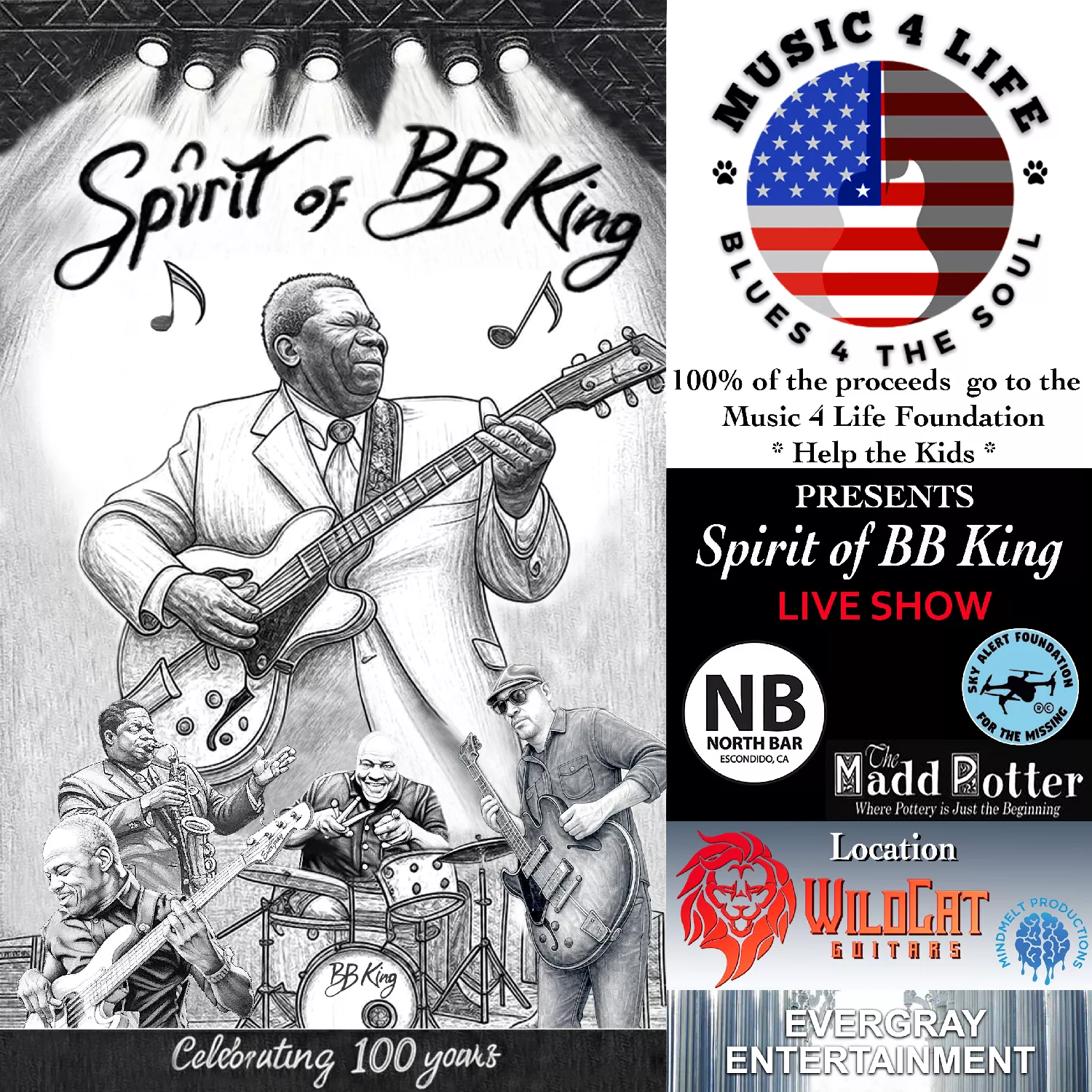Spirit of BB King image