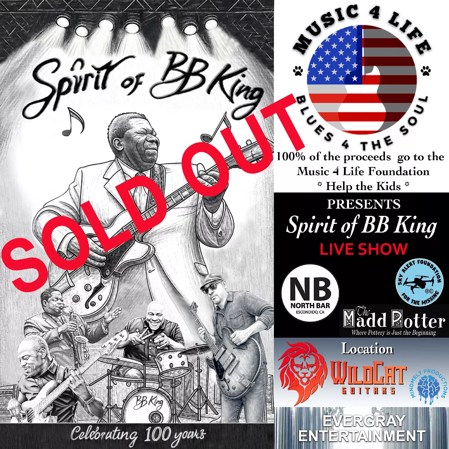 Spirit of BB King image