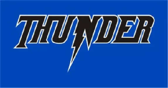 thunderbaseballorg image