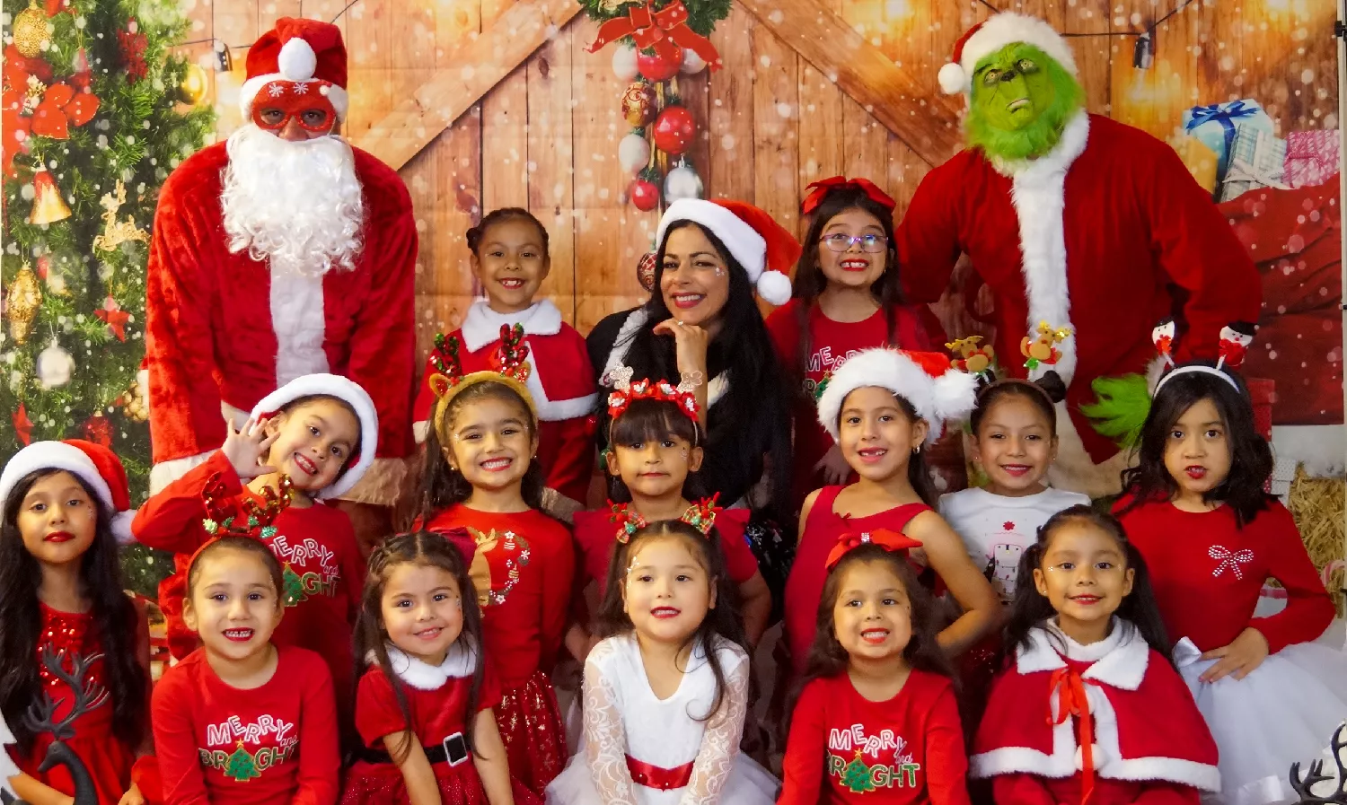 Fantasía navideña image