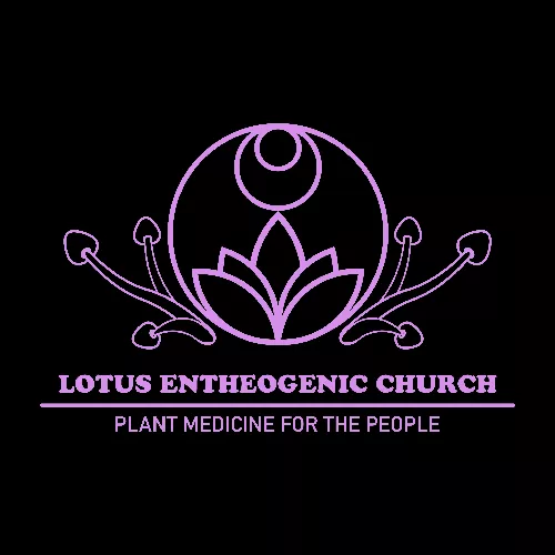 Lotus Church Inc image