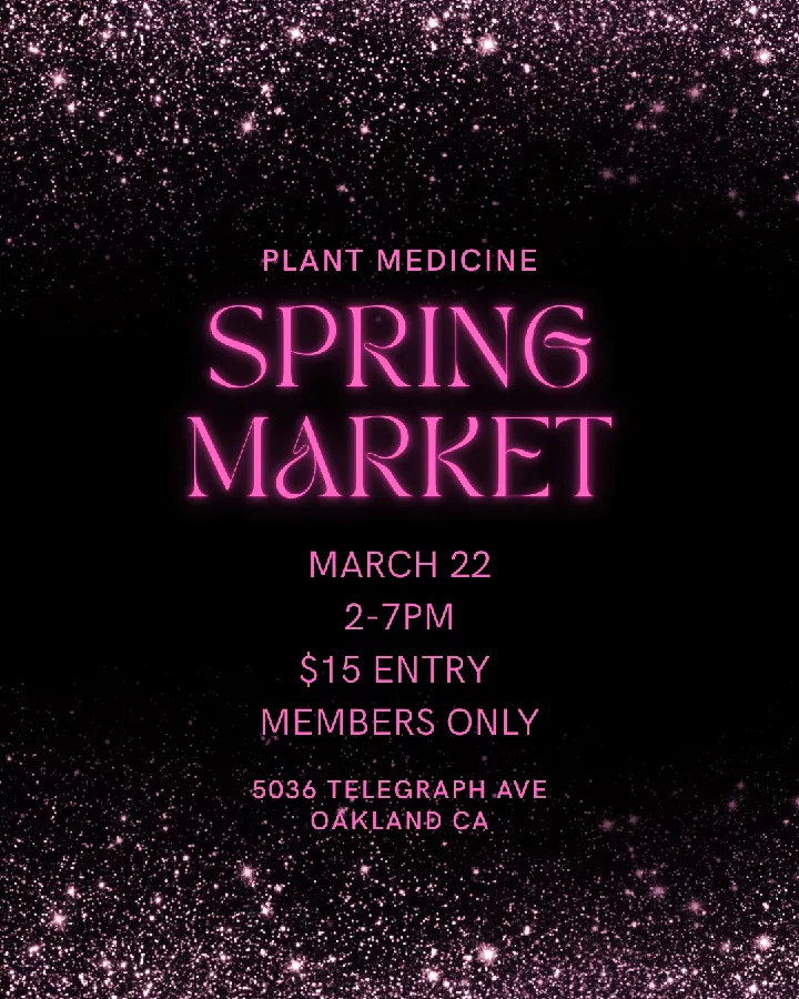 Spring Market at Lotus Church