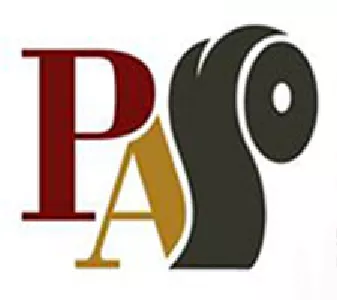 Pan American Symphony Orchestra image