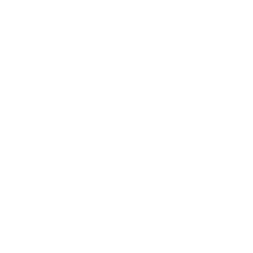 jabotinsky institute in israel