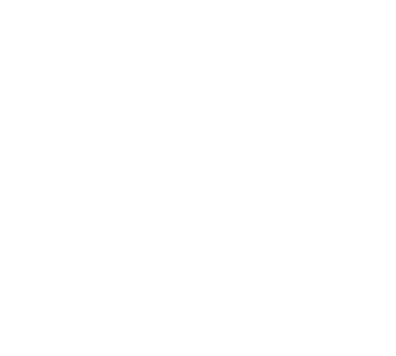 MEGA Experience