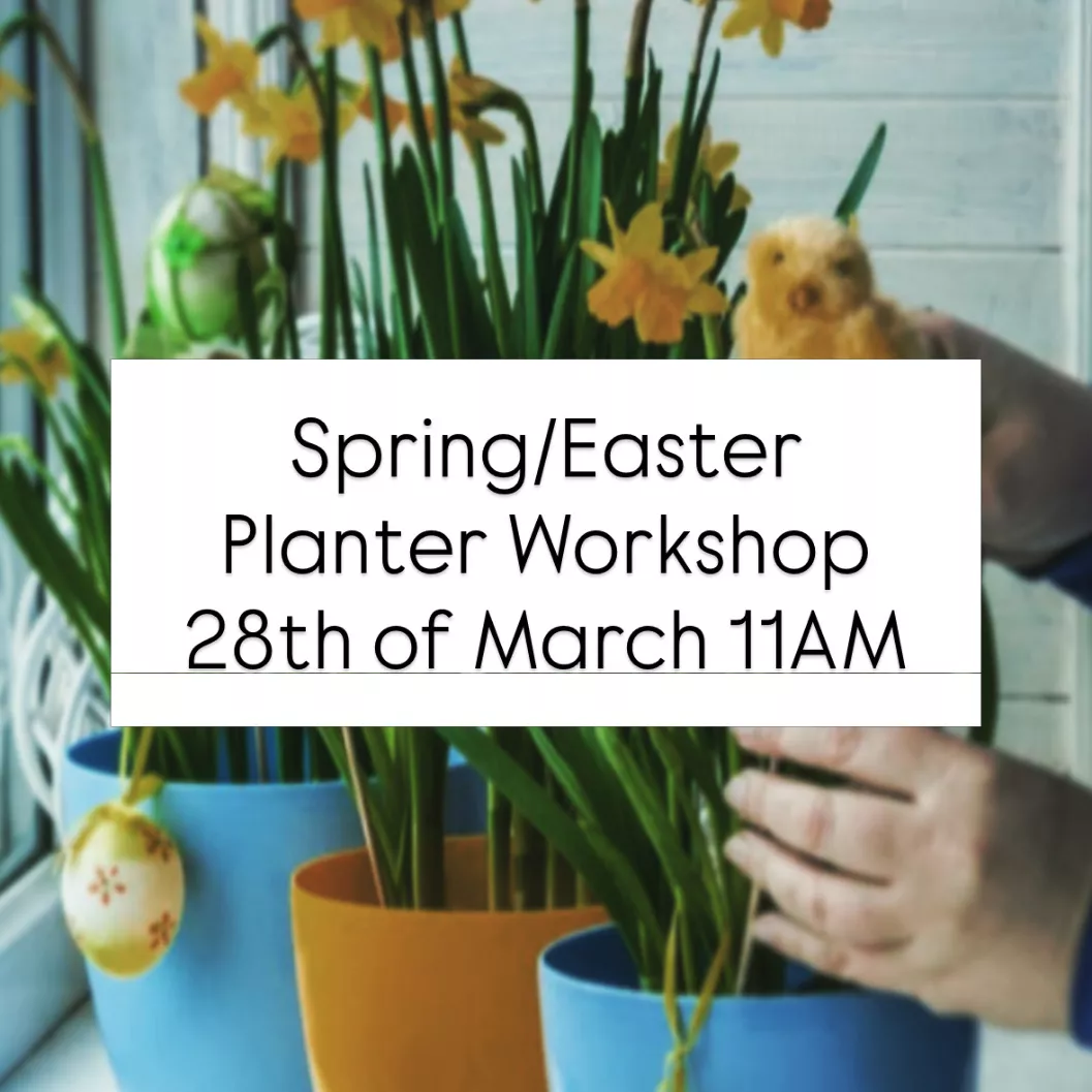 Spring/Easter planter workshop image