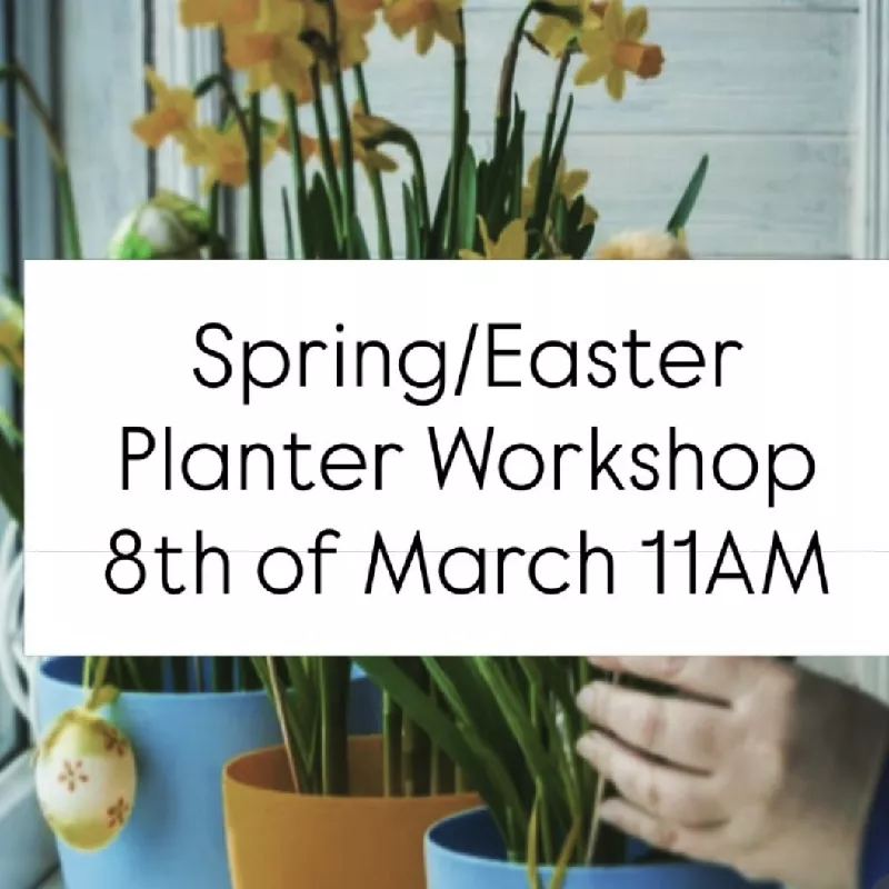Spring/Easter planter workshop