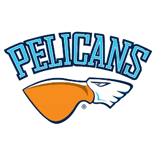 Lahden Pelicans Oy image
