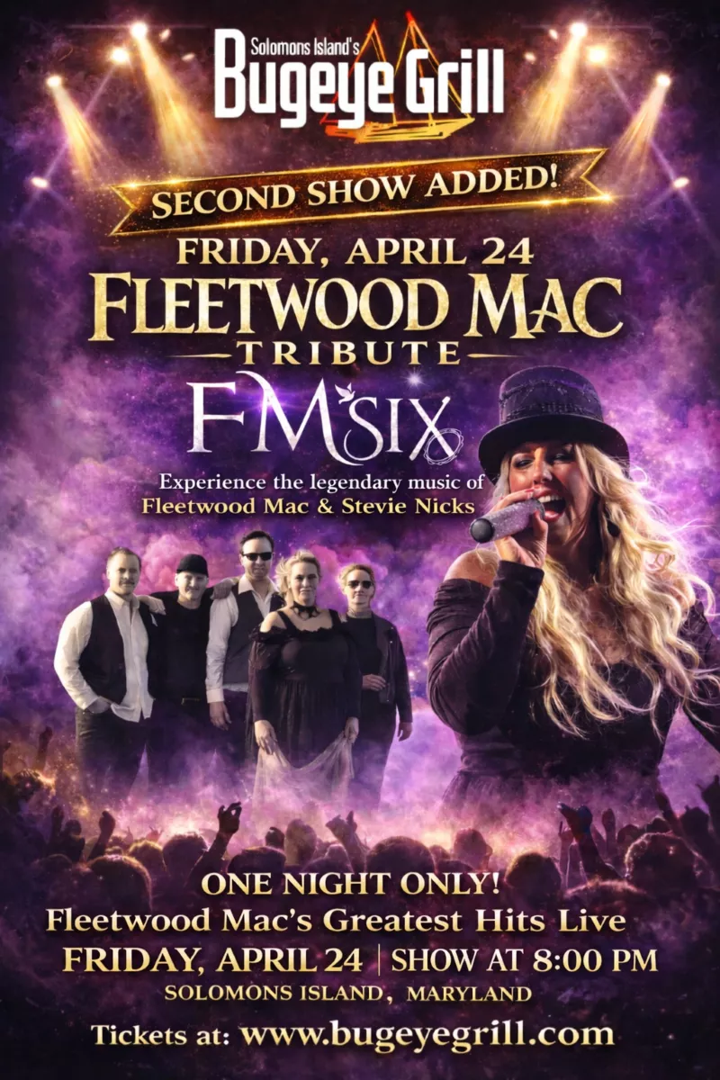Fleetwood Mac Tribute image